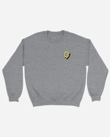 Gray sweatshirt with a logo on the chest against a white background