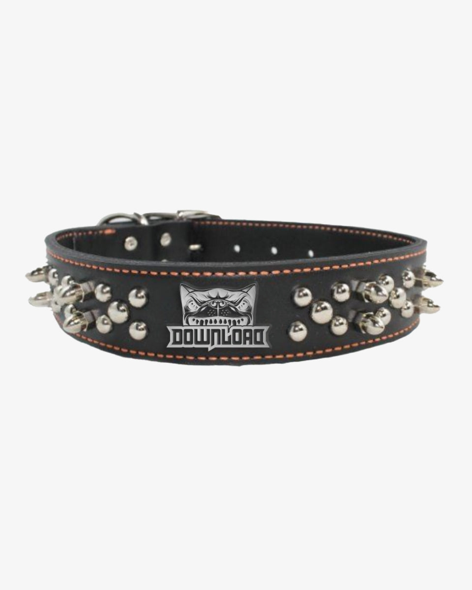 Dog Collar